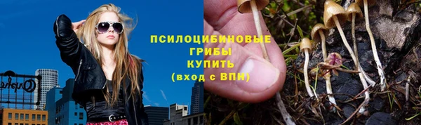 винт Богородицк