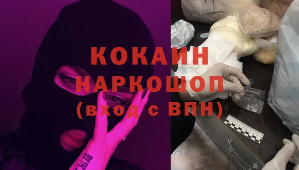 спиды Богданович