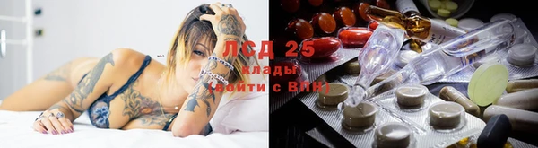 гидра Белоозёрский