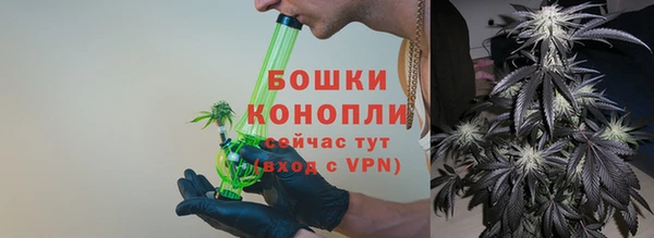 гидра Белоозёрский
