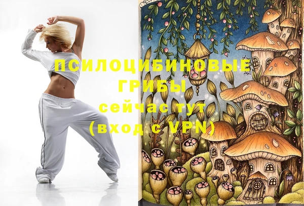 прущие крисы Богородск