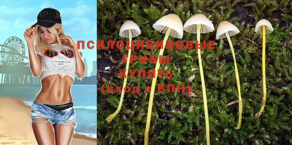 гидра Белоозёрский