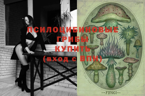 прущие крисы Богородск
