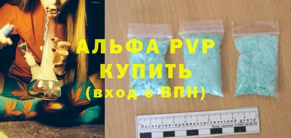 спиды Богданович