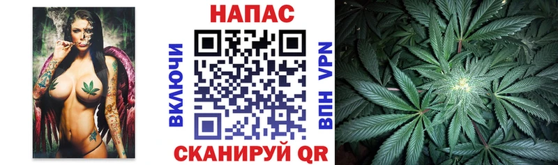 Бошки Шишки гибрид  МЕГА ссылки  Нерчинск 